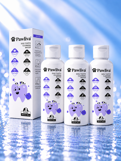 Pawliva™ | Dog Dental Care & Fresh Breath Support