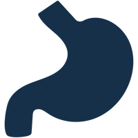 Digestive Health