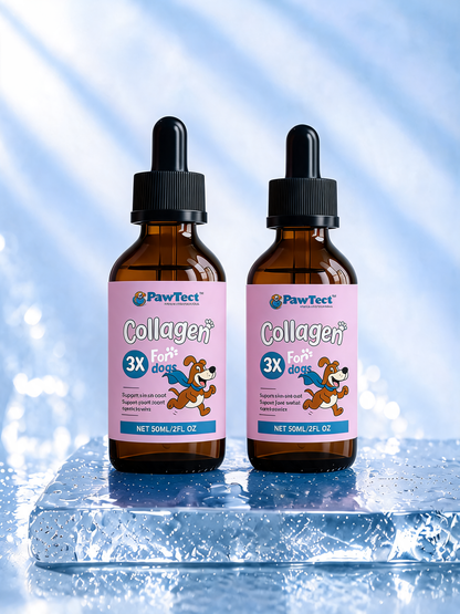 PawTect™ | Premium Liquid Collagen for Dogs